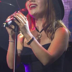 tecnico en cantautor