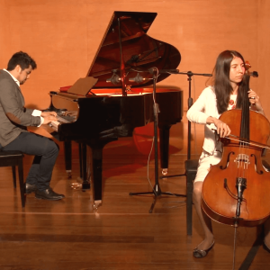 Clases de Violonchelo